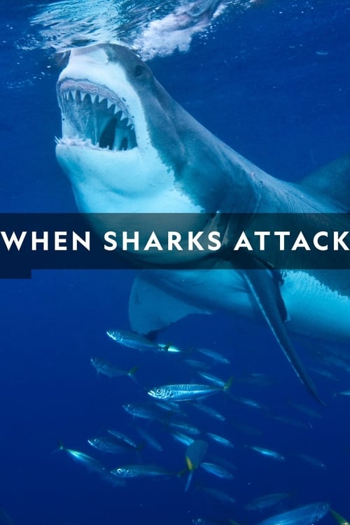 Where to stream When Sharks Attack