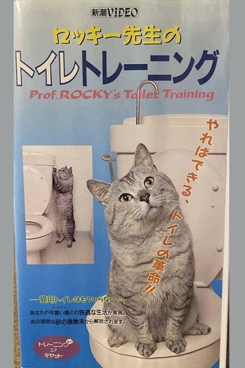 Rocky's Toilet Training (1991) poster
