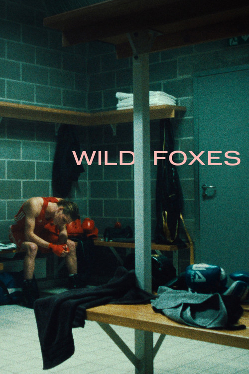 Wild Foxes poster