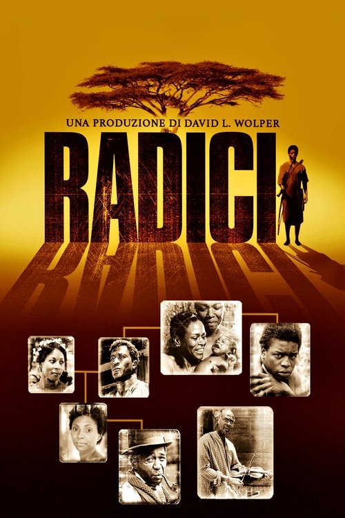 Radici poster