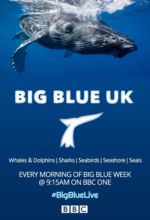 Poster Big Blue UK