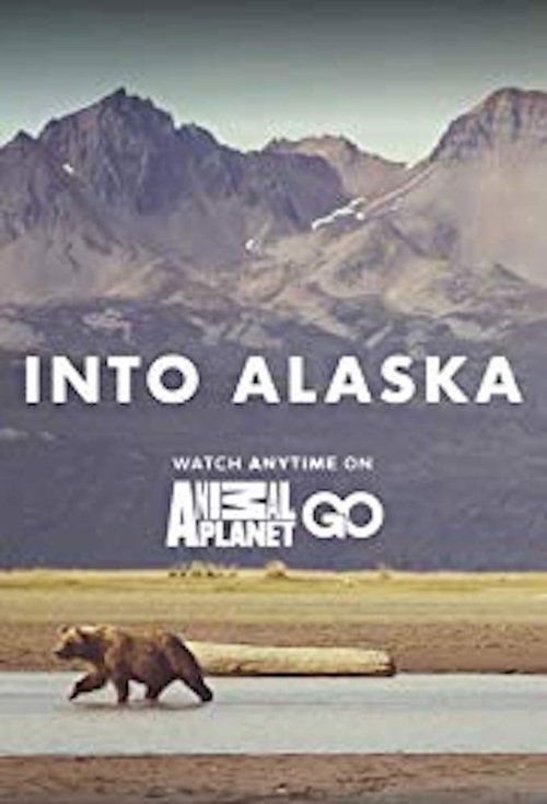 Where to stream Into Alaska