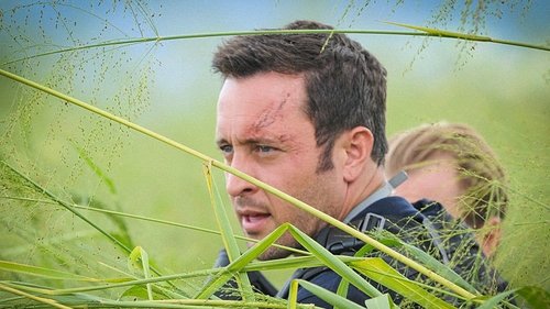 Assistir Hawaii Five-0 S05E13 – 5×13 – Dublado Assistir Hawaii Five-0 S05E13 – 5×13 – Dublado