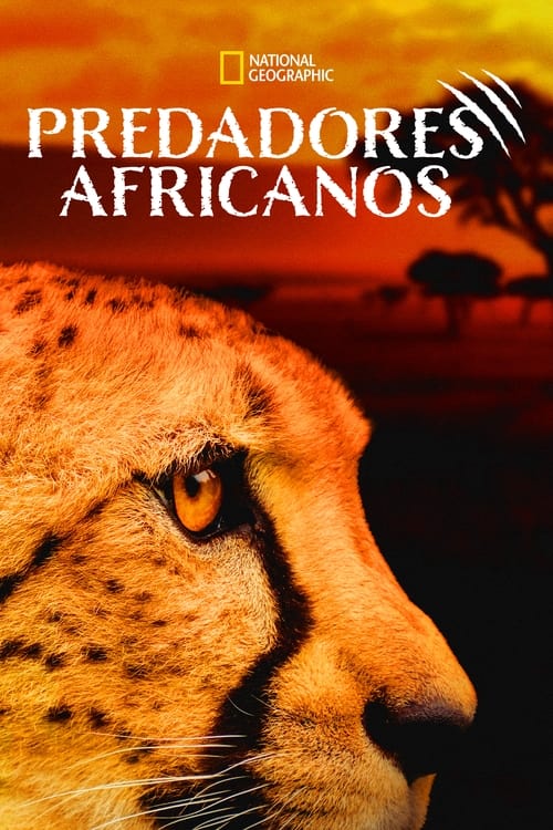 Image Predadores Africanos
