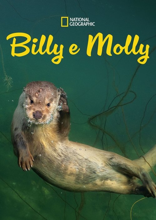 Pôster de Billy e Molly: Uma História de Amor Diferente