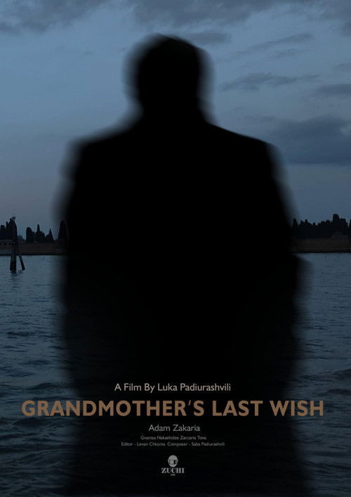Grandmother's Last Wish film afişi