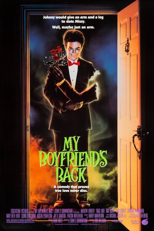 My Boyfriend's Back 1993