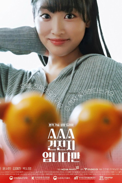 Poster (Koreanisch)