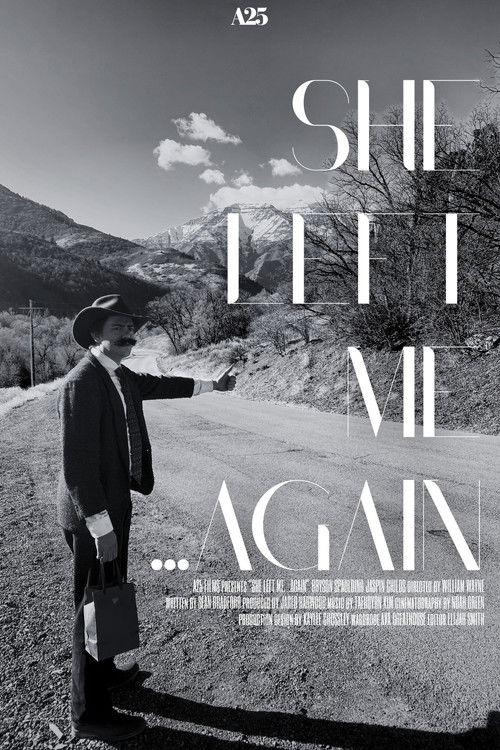 She Left me...Again poster