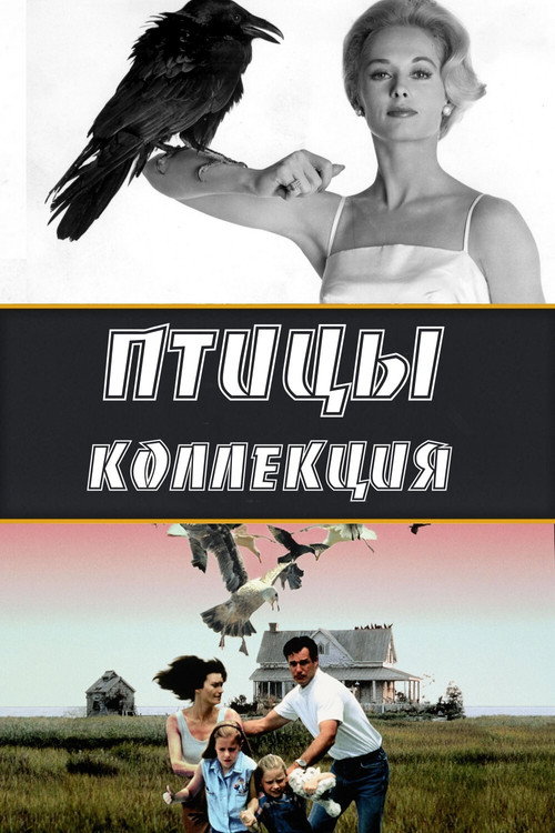 The Birds Collection