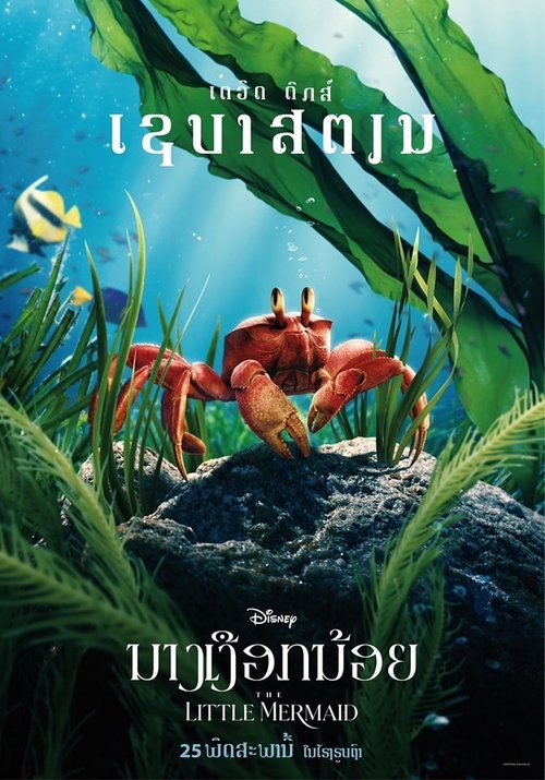 Posters