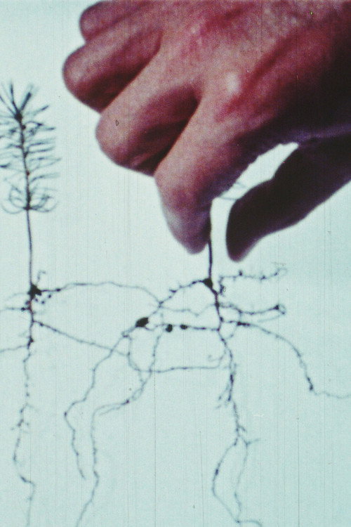 A Few Spaces In Between