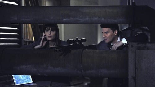 Bones: 6×15