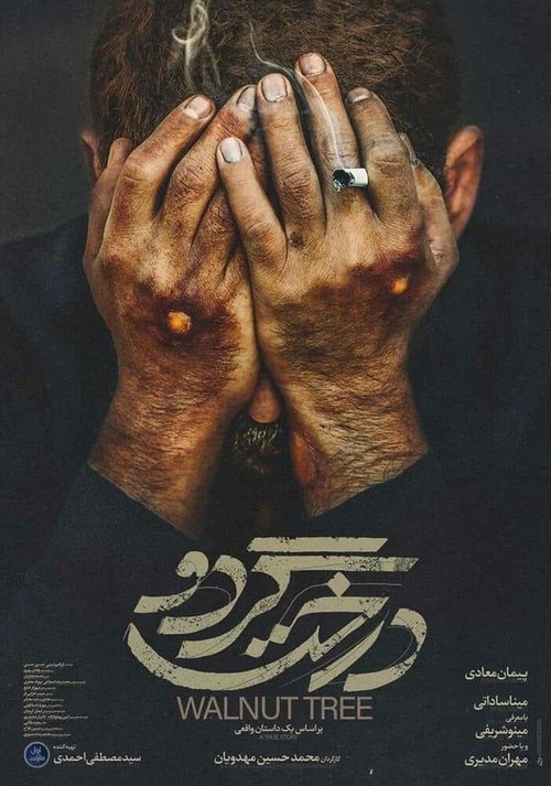 درخت گردو movie poster player