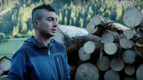 Poster della serie Undercut: l'oro di legno