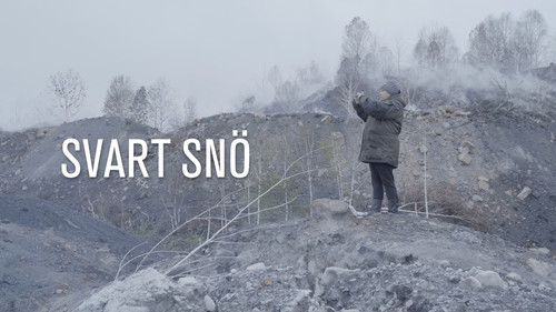 Black Snow — Fundos 1