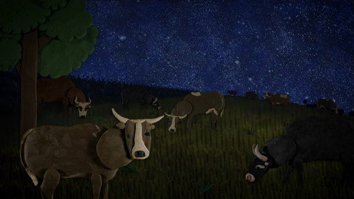 Zagledani u zvezdano nebo