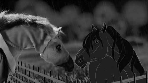 Trotter — Backdrops 1