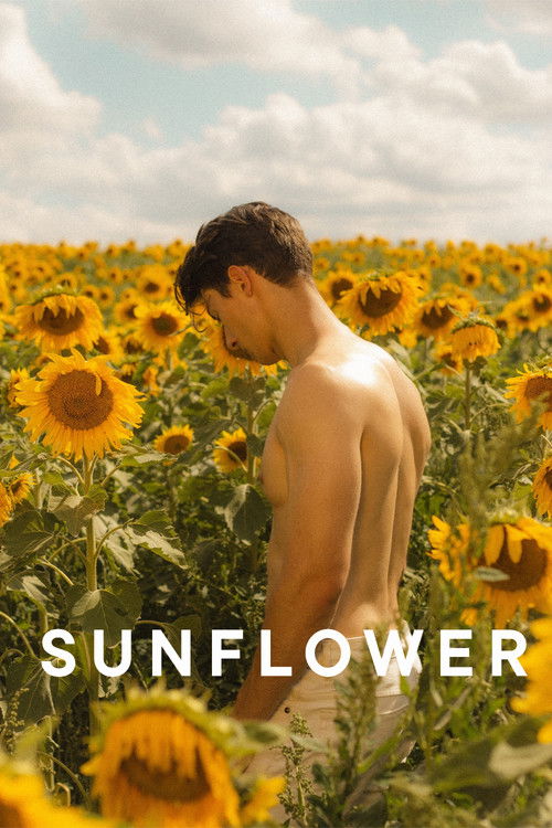 Sunflower poster