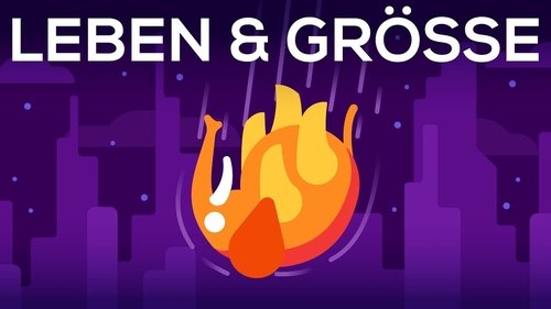 Épisode 8