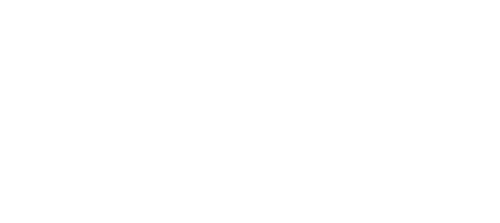 La Acompañante