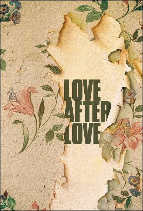 Love After Love poster