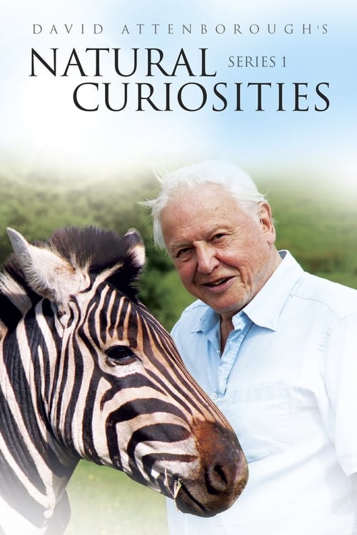 Where to stream David Attenborough's Natural Curiosities Season 1