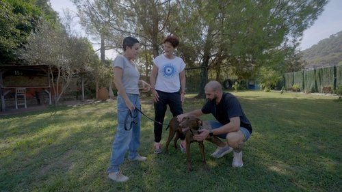 Image de l'épisode 2