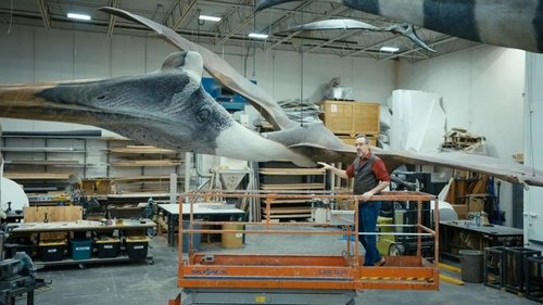 backdrop Le rêve de Léonard : Les secrets du vol dans la nature