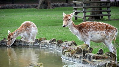 Image de l'épisode 8