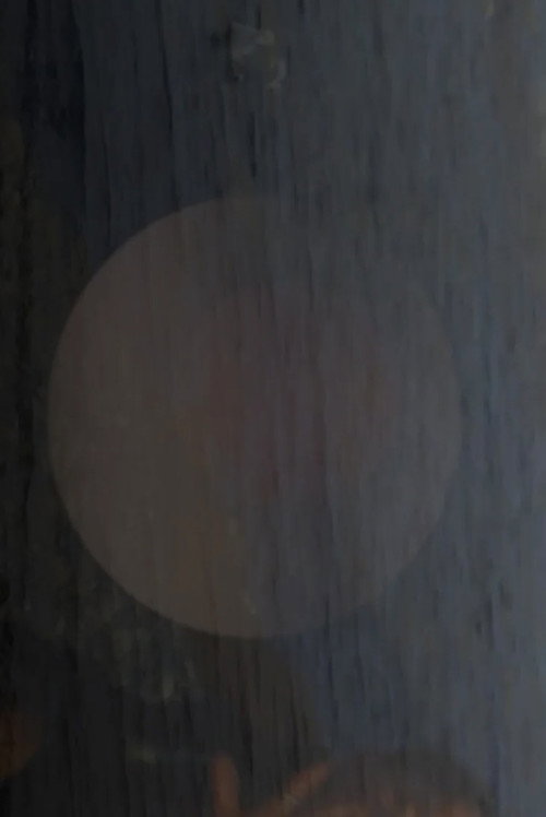 This is How We Dream: Dream of a Seed