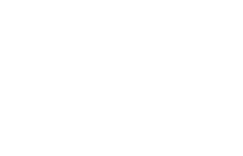 The Engineer