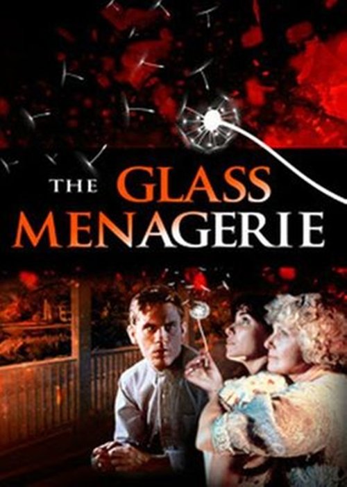 The Glass Menagerie poster