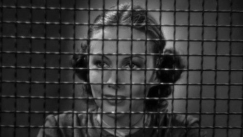 Woman Against the World image 2