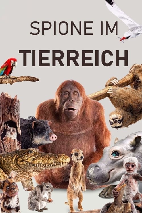 Spione im Tierreich poster