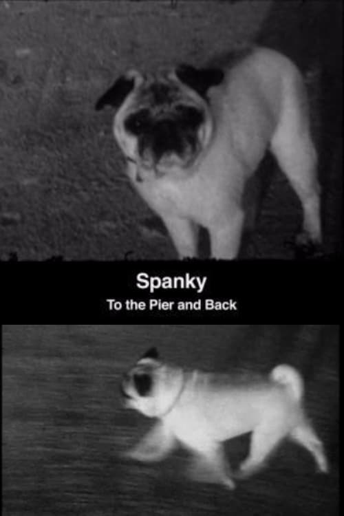 Spanky: To the Pier and Back 2008