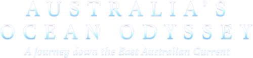 Australia's Ocean Odyssey: A journey down the East Australian Current