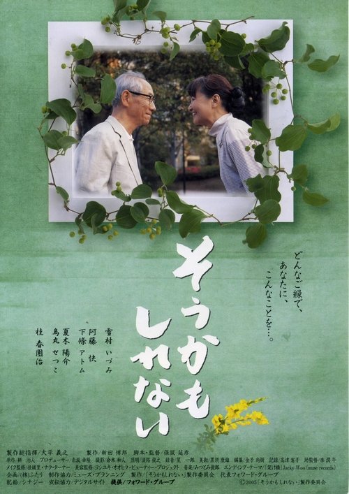 そうかもしれない movie poster player