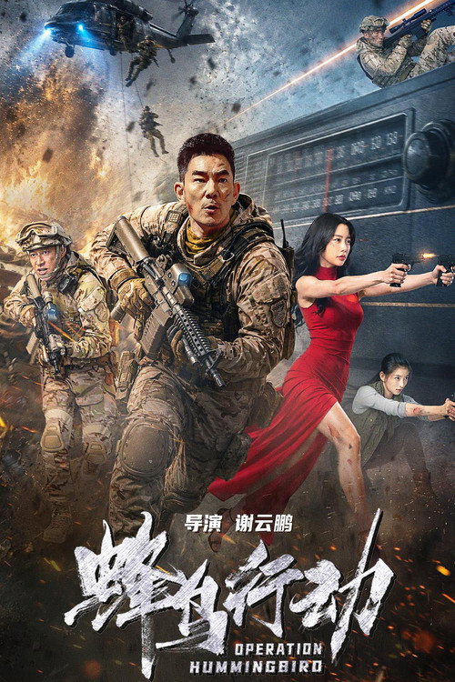 Operation Hummingbird