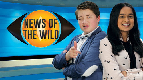 News Of The Wild - Season 1 Backdrop Blur