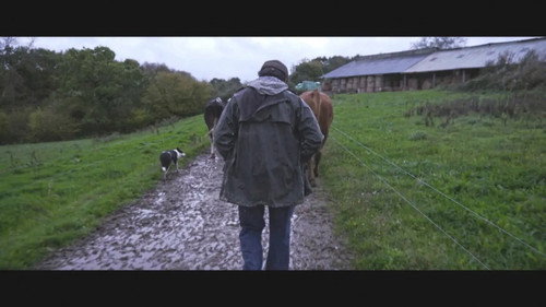 Violence dans les Champs