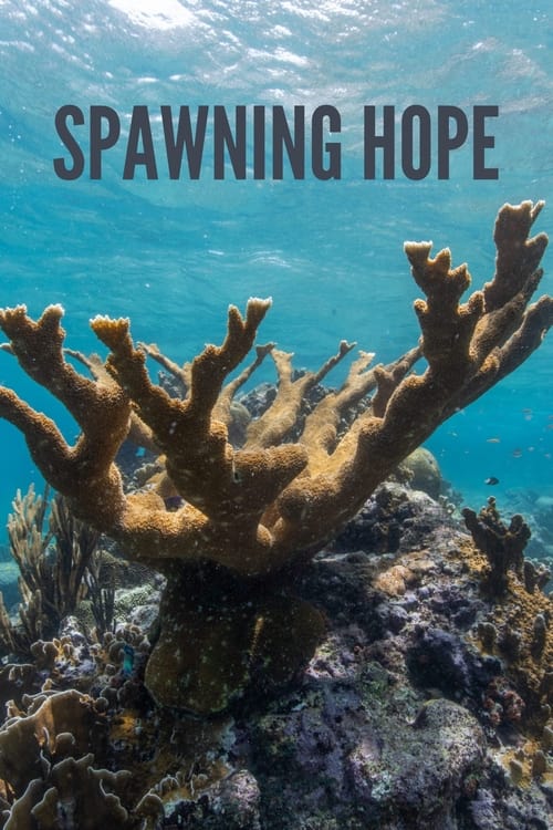 Poster Spawning Hope 2020