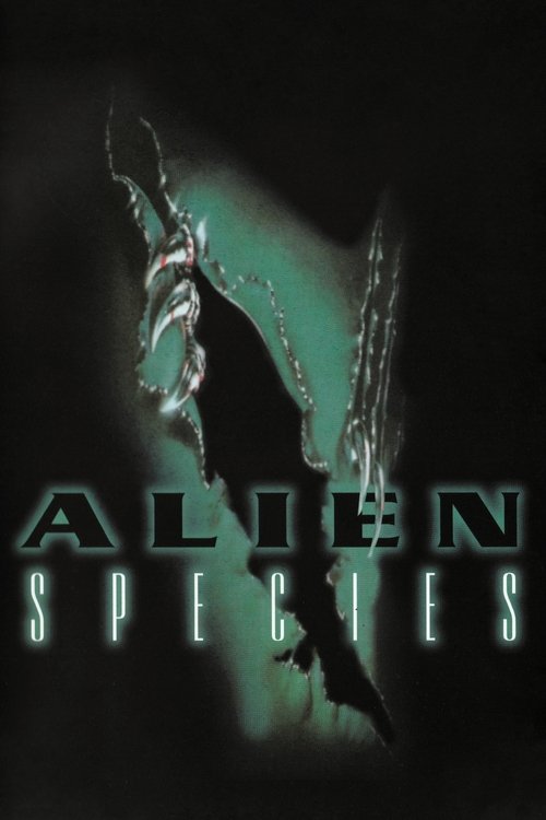 Poster 5