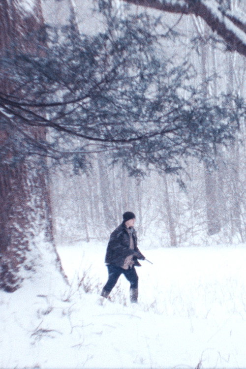 Fox Hunt
