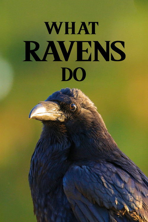 Cartell de What Ravens Do