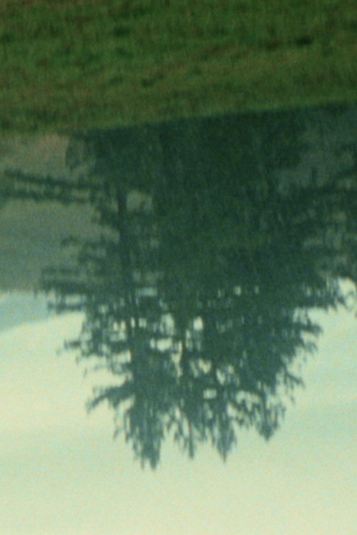 Strewnpackedcinderwhateverlight (2004) poster