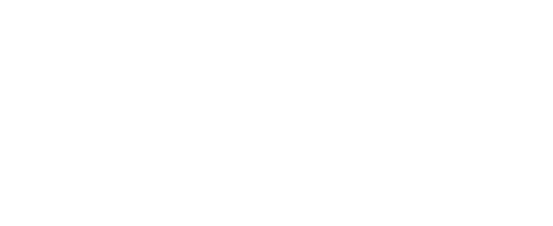 Donald's Nephews