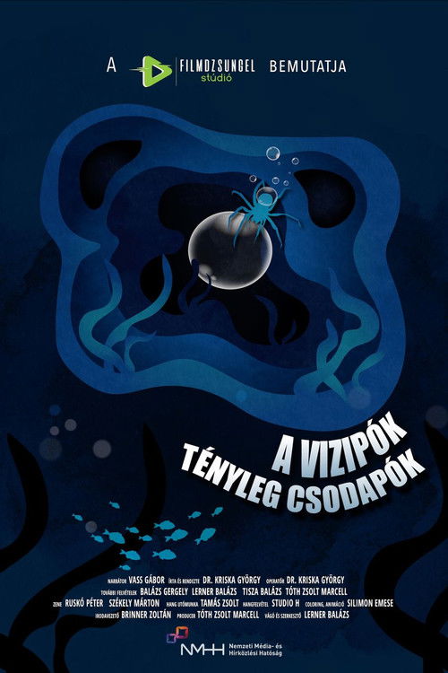 A vízipók tényleg csodapók - DİZİ Afişi