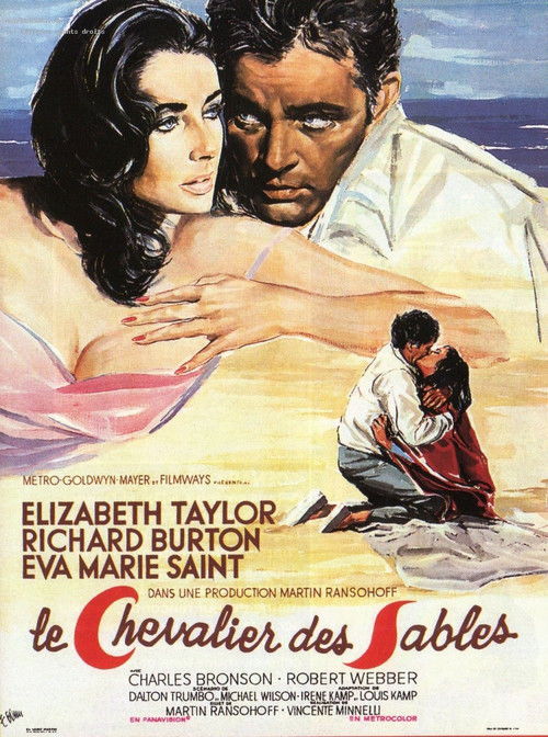 The Sandpiper poster