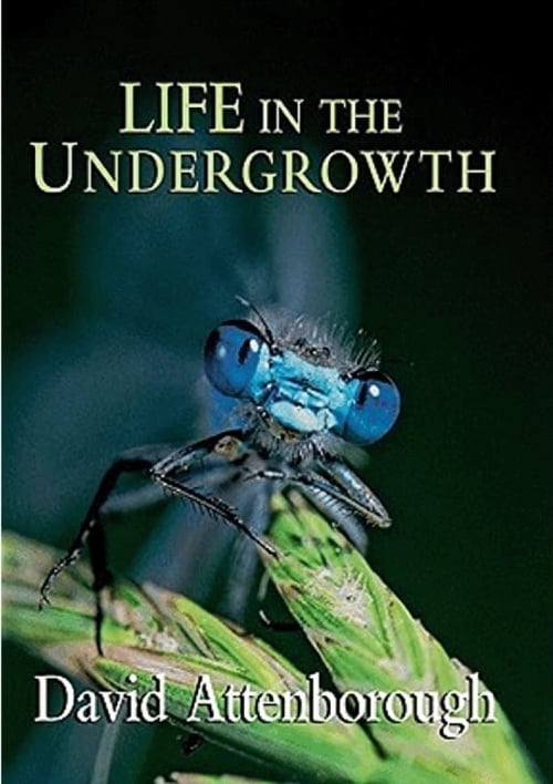 Image Life in the Undergrowth (2005)